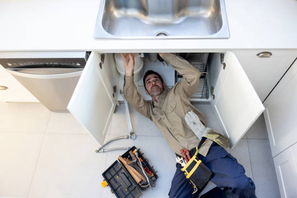 Best Residential Plumbing Services  in Rosewood Heights, IL