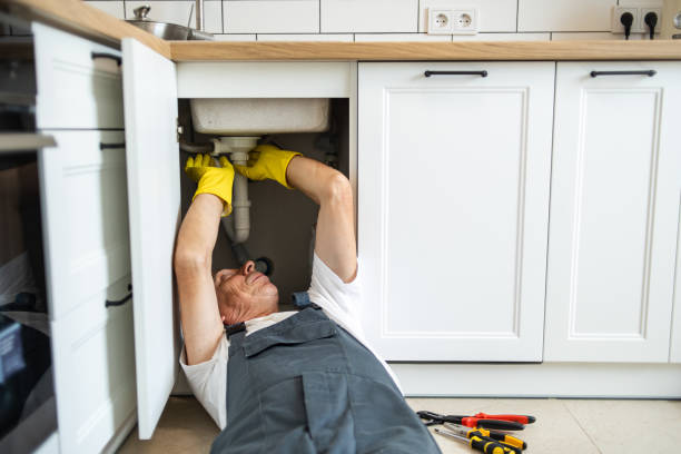 Best Plumbing Services Near Me  in Rosewood Heights, IL