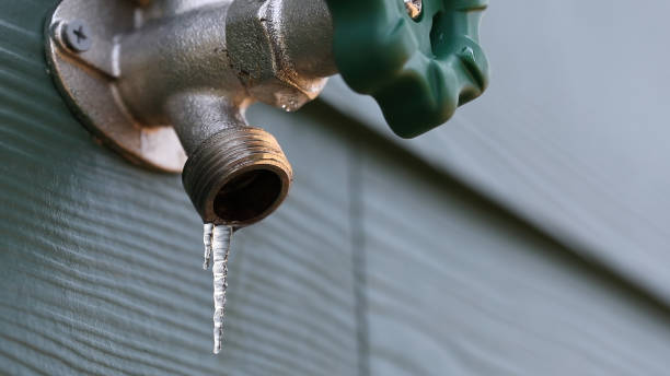 Best Plumbing Services Near Me  in Rosewood Heights, IL