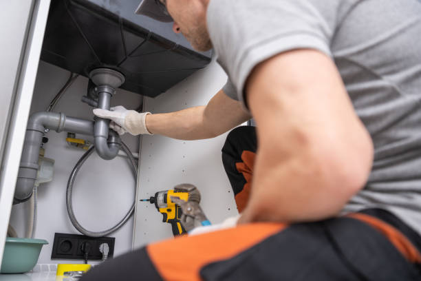 Best Local Plumber Services  in Rosewood Heights, IL