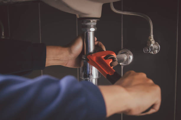 Best Local Plumber Services  in Rosewood Heights, IL